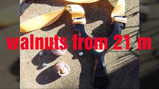 WASP - uniphoxx - slingshot shooting - 21m - 2 walnuts