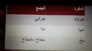 #اكسبلور/اصعب  جموع اللغة