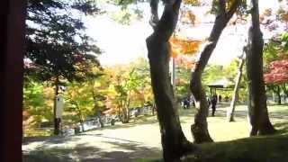 中野もみじ山　入り口から神社まで