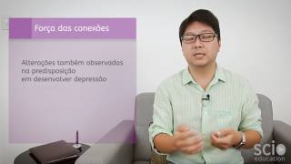 Artigo 7 - Alterações de conectividade cerebral em crianças pré-termo