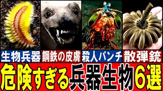 【閲覧注意】まるで兵器みたいな生き物６選【ゆっくり解説】【動物おもしろ雑学】