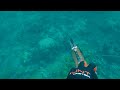 Bulukumba Explore | Trip santai | Memanah ikan enak di air dangkal | Bulukumba Spearfishing