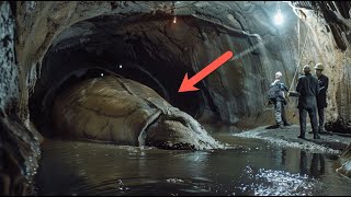 Hidden Cams Show Us What They Really Found