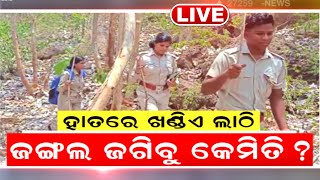 Live: ହାତରେ ଖଣ୍ଡିଏ ଲାଠି, ଜଙ୍ଗଲ ଜଗିବୁ କେମିତି ? | Similipal Forest Guard Killed By Poachers| Odia News