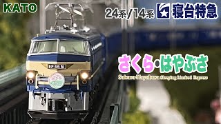 Nゲージ KATO 24系/14系 寝台特急 さくら•はやぶさ【鉄道模型 自宅レイアウト走行】