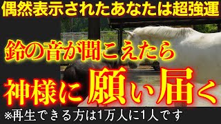 【丹生川上神社下社】偶然この動画が表示されたら超強運　もし鈴の音が聞こえたら、あなたの願いは必ず神様に届きます　日本最長の木造階・日本最古の水神・絵馬発祥の神社　遠隔参拝