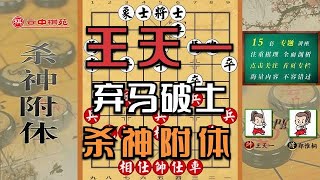 2020佳作！王天一杀神附体，弃马破士炮兵入局！洪智直夸下得好！