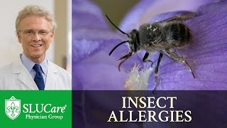 Insect Allergies:  Important Facts About Stings and Preventing Fatalities - Dr. Mark Dykewicz