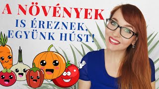 Érvek a veganizmus ellen: A növények is éreznek! | GYIK #4