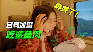 Eating shark meat in RV during rainy day?! It's so stinky!【VanLife】ENG SUB