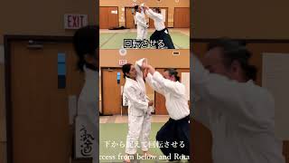 WOW!合氣 | 肘の利 : Use of Elbow | 正面打ち一教表 ShomenUchi Ikkyo Omote #合氣道 #aikido #武道 #budo #martialarts