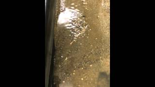 Stream Table - demo 2