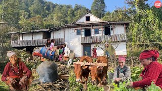 Daily Life on Extreme Rural Mountain Villages-Happy and Healthy Lifestyle