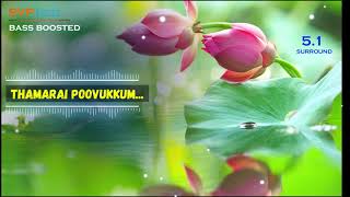 Thamarai Poovukkum ~ Pasumpon ~ Vidyasagar 🎼 5.1 SURROUND 🎧 BASS BOOSTED 🎧 SVP Beats