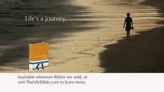 NIV Life Journey Bible