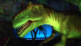 Dinosaurs Unearthed at the Academy of Natural Sciences