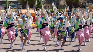 はなはるフェスタ2019・まんじ連_20190420_本場徳島阿波おどり Awaodori in Tokushima Japan