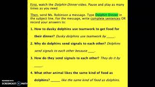 Dolphin Dinner Questions Updated