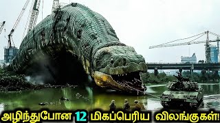 பூமியில் வாழ்ந்து அழிந்த 12 மிகப்பெரிய விலங்குகள்! | Largest Extinct Animals | Tamil Ultimate