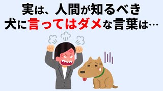 犬に言ってはいけない言葉に関する雑学 #犬 #雑学 #聞き流し #睡眠 #癒し #犬の気持ち #犬のいる暮らし