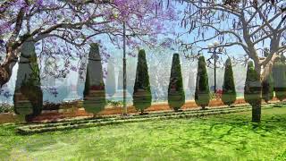 Бахайские сады : The Bahá'í Gardens