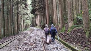 阿里山林鐵及文資處 -七月主題列車之旅 鐵道文旅(12)第二分道