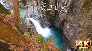 付知峡（岐阜・中津川) Tsukechi gorge in Gifu 16.11.23 4k 60fps