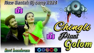 Chingli Plant Golom 🎧New Santali Dj song 2024🔊Santali Video 🎬 Chingli Plant Golom 🎵 Ravi hembram