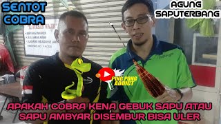 Sentot Cobra🐍VS Agung Saputerbang🧹 |Ketika Patokan Cobra dihalau Sapu, Sabetan ekor bikin ngilu|