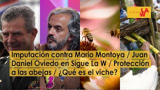 La imputación al Gral. Montoya por falsos positivos  /Candidatos en Sigue La W: Juan Daniel Oviedo