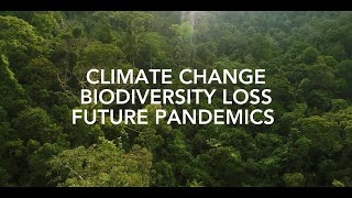 Nature-based Solutions to Climate, Biodiversity, and Pandemic Threats