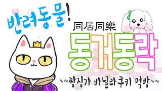 [반려동물! 동거동락] 짱징가 크림샌드 먹방~