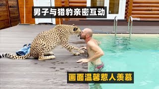 男主人让猎豹下水游泳，猎豹却迟迟不敢下水，互动画面惹人羡慕