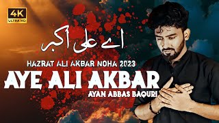 Nohay 2023 | Hazrat Ali Akbar Noha 2023 | Aye Ali Akbar | Ayan Abbas | Shahadat Hazrat Ali Akbar