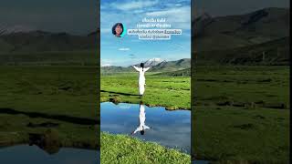 เที่ยงจีน ชิงไห่ ทุ่งหญ้า เขาฉีเหลียน 青海祁连山大草原 Qinghai Qilian Mountain Grassland