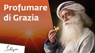 Essere disponibili alla Grazia | Sadhguru Italiano