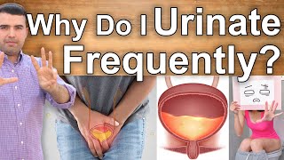 WHY DO I URINATE FREQUENTLY? - 8 Reasons Why You're Peeing Too Much   Kidneys, Diabetes, Infection