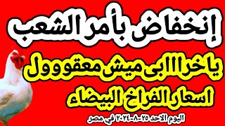 اسعار الفراخ البيضاء اليوم/ سعر الفراخ البيضاء اليوم الاحد ٢٥-٨-٢٠٢٤ في مصر جمله وقطاعي