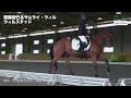 【rrc2021】馬場馬術＜総集編＞【引退競走馬杯】