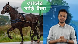 ঘোড়ার গাড়ি টানা | পদার্থবিজ্ঞান ১ম পত্র: অধ্যায়- ৪