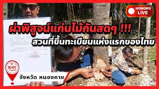 ไลฟ์สด : ผ่าพิสูจน์แก่นไม้กันสดๆ !!! สวนที่ขึ้นทะเบียนแห่งแรกของไทย สวนคุณพ่อ สวาท จ.หนองคาย