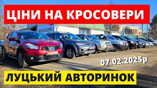 СВІЖІ ЦІНИ НА КРОСОВЕРИ / ЛУЦЬКИЙ АВТОРИНОК / 06.02.25р. #колоритмоторс #автопідбір #кросовери