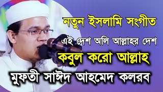 এই অলি আল্লাহর বাংলাদেশ মুফতি সাঈদ আহমেদ ও বদরুজামান কলরব | নতুন ইসলামিক সংগীত কলরব | NTV BANGLA WAZ