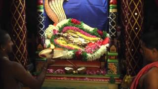 Navaratri 2014 day6 - Sesha Sayanam