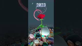 VID 20221231 WA0002