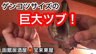 生きた 巨大 ツブ の 殻を割らずに 綺麗に 身を抜き取る方法！ 盛り付けから 実食まで！ 北海道名物！？ ゲンコツサイズ巨大活ツブ！ めちゃくちゃ旨い！！ 函館銀座通り 函館居酒屋🏮宝来東屋