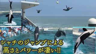 《鴨川シーワールド》シャチパフォーマンス  2019.8.2  13:00〜