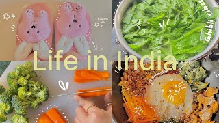 Life in India 🧸ྀི | food vlog ♡ | bibimbap \u0026 cozy vibes ⋆.˚✮🎧✮˚.⋆