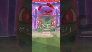 ポケモンGOマックスバトルフシギダネゲットできたかな？　#ポケgo #pokemongo #ポケモンgo #pokemon #ポケゴー #ポケモン #フシギダネ   #shorts #short