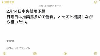 #中央競馬 #中央競馬予想 #オススメ軸馬 2月14日 日曜日中央競馬 オススメ軸馬と見解